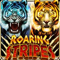 permainan slot Roaring Stripes provider Live 22 dari situs slot gacor MEONGTOTO